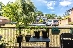 Photo 13- click for photo gallery